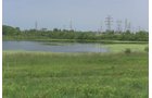 Pond on a farm in Lake County, Indiana - LAND AUCTION - 147+/- ACRES OFFERED IN 3 TRACTS IN LAKE COUNTY, INDIANA